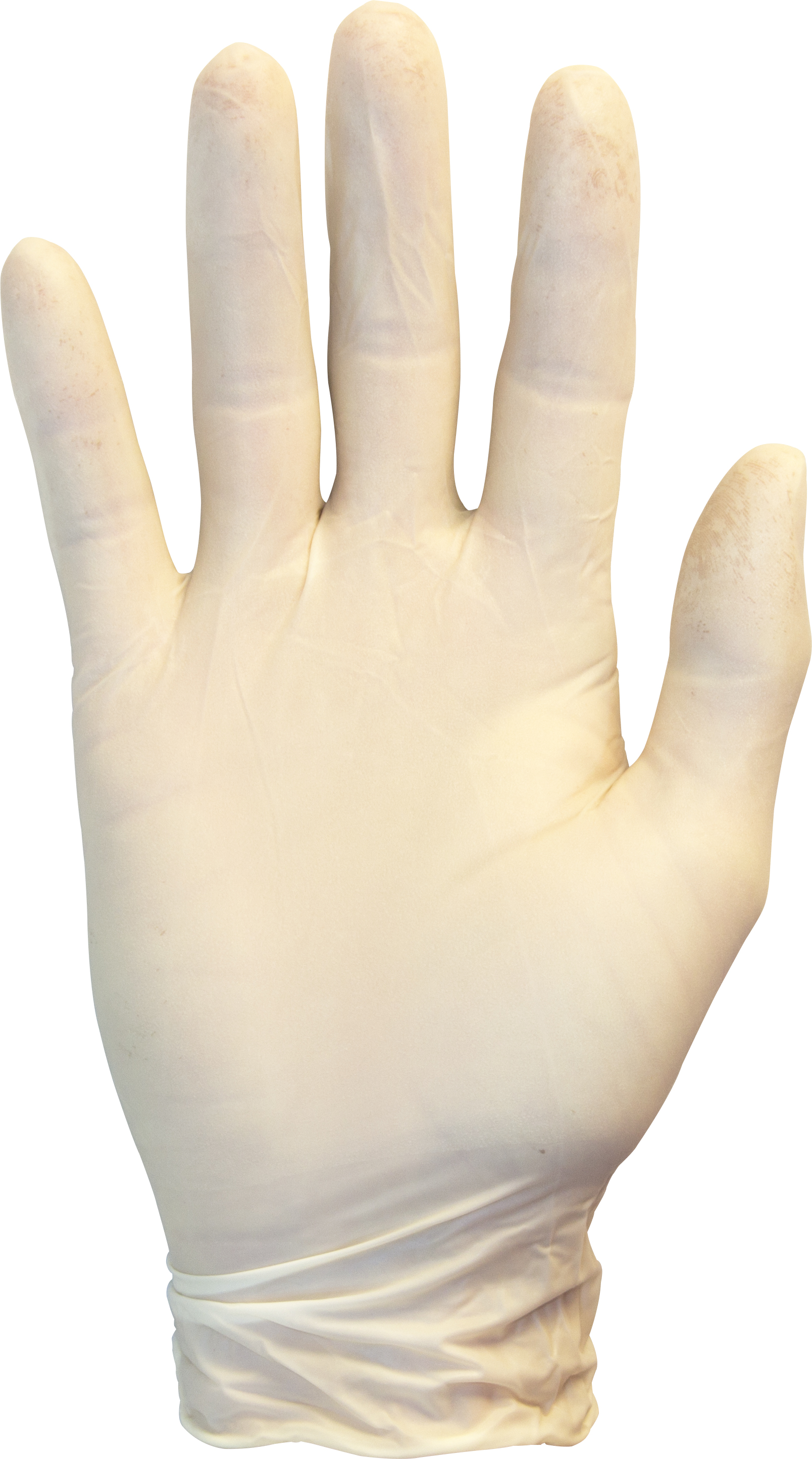 SZ LARGE POWDER-FREE LATEX GLOVES (1000/CS)