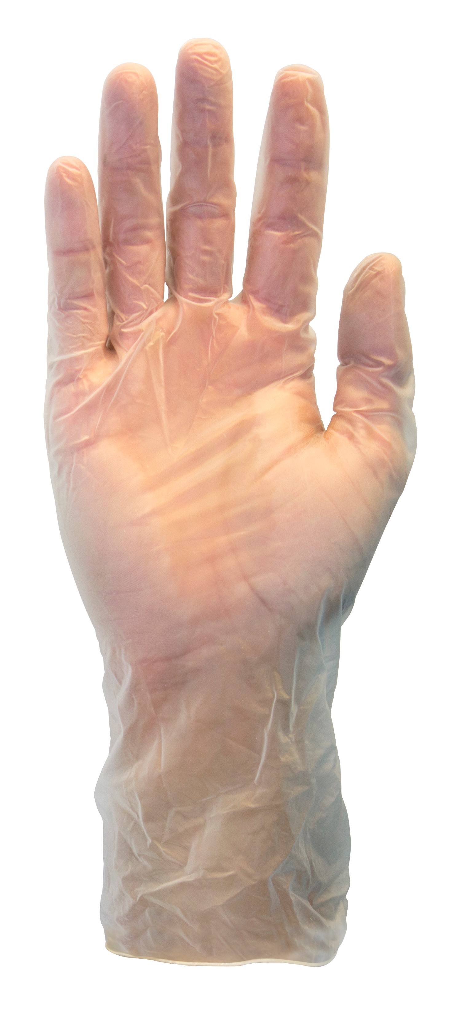 SZ MEDIUM POWDER-FREE VINYL
GLOVES (1000/CS)